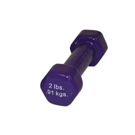 FABRICATION ENTERPRISES Fabrication Enterprises 10-0551-1 2 lbs Vinyl-Coated Iron Dumbbell; Violet 10-0551-1